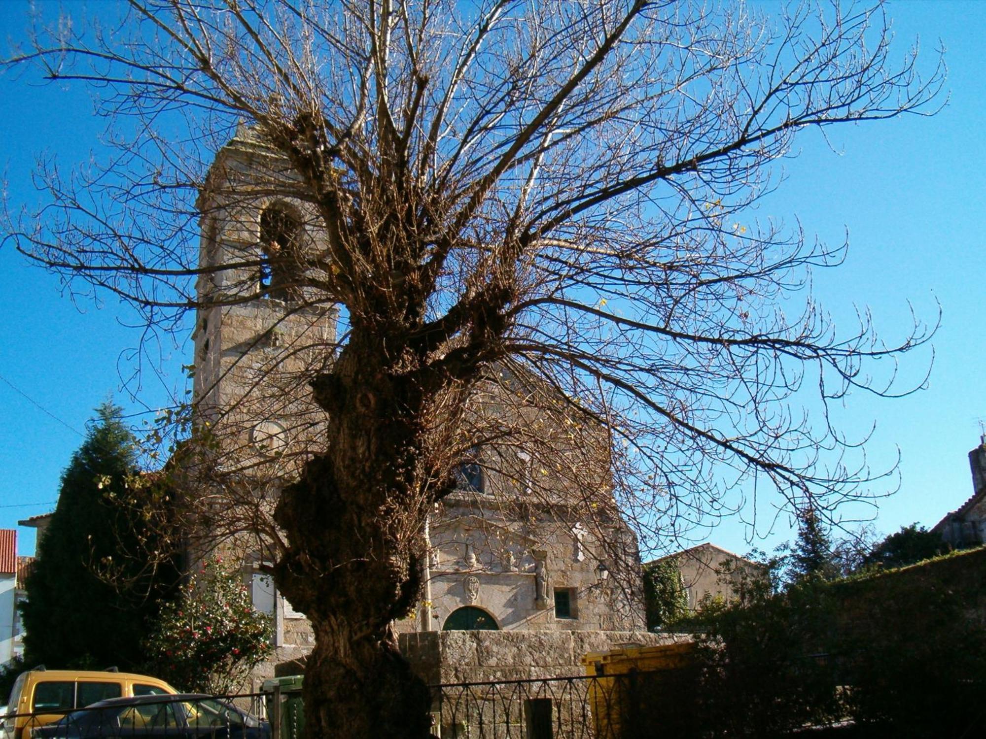 Hotel O Lagar Cambados Dış mekan fotoğraf